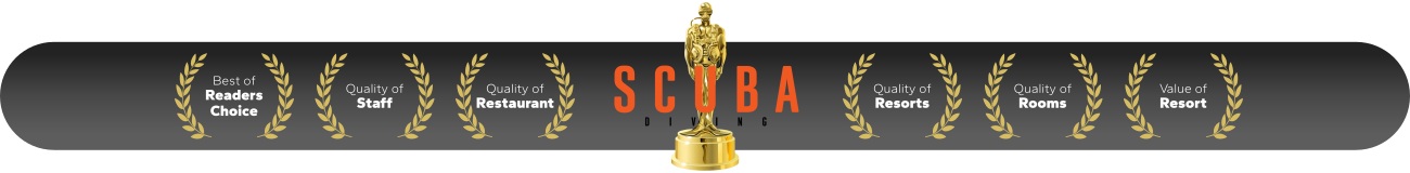 Scuba Diving Award